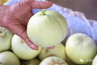 五一吃瓜今日必吃大瓜网黄