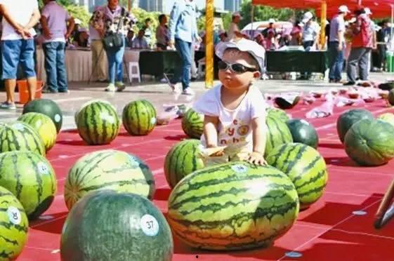 每日大赛 吃瓜入口,吃瓜入口，揭秘娱乐圈幕后风云