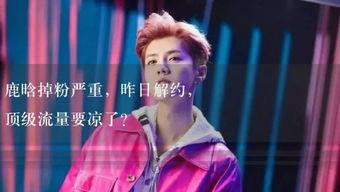 娱乐吃瓜直播讲故事视频,揭秘娱乐吃瓜背后的故事