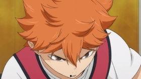 娱乐圈吃瓜的猹小说,瓜田里的那些事儿