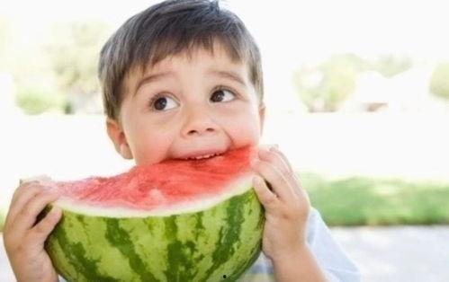 娱乐吃瓜酱喂西瓜小说,娱乐吃瓜酱的西瓜奇遇记