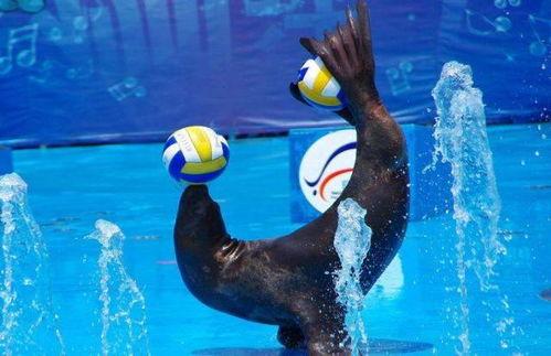 娱乐吃瓜君海狮,揭秘娱乐圈那些不为人知的幕后故事