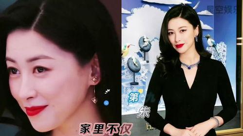 吃瓜系统真假千金娱乐圈,娱乐圈的神秘吃瓜大揭秘