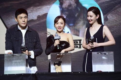 娱乐圈吃瓜爆料长篇合集