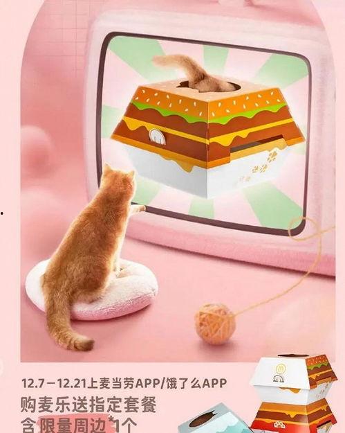 娱乐吃瓜酱棉袄猫窝,揭秘明星温馨家居生活
